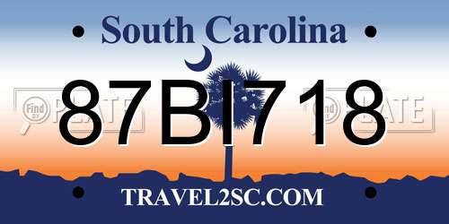 87BI718 South Carolina License Plate