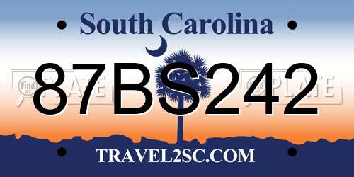 87BS242 South Carolina License Plate