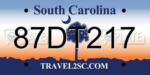 87DT217 South Carolina License Plate
