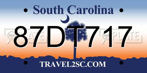 87DT717 South Carolina License Plate