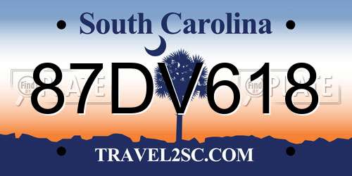 87DV618 South Carolina License Plate