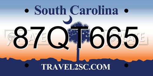 87QT665 South Carolina License Plate