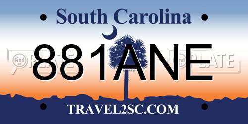 881ANE South Carolina License Plate