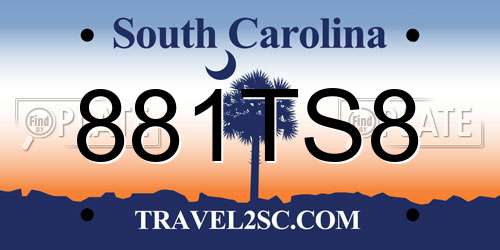 881TS8 South Carolina License Plate