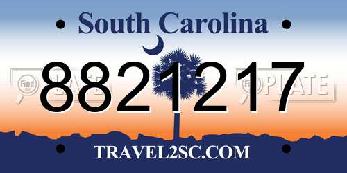 8821217 South Carolina License Plate