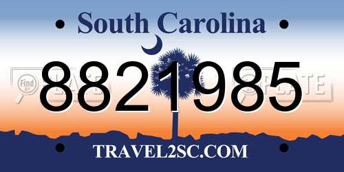 8821985 South Carolina License Plate