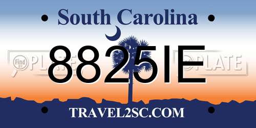 8825IE South Carolina License Plate