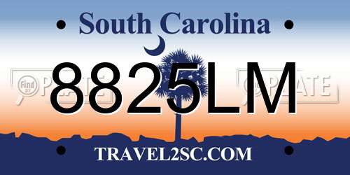 8825LM South Carolina License Plate