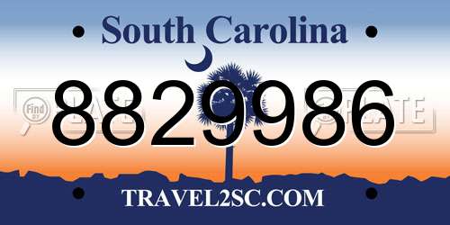 8829986 South Carolina License Plate