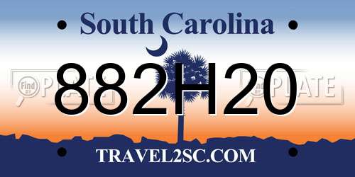 882H20 South Carolina License Plate