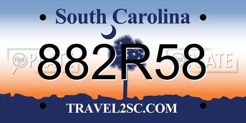882R58 South Carolina License Plate