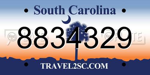 8834329 South Carolina License Plate