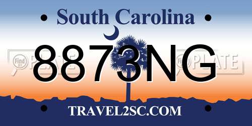 8873NG South Carolina License Plate