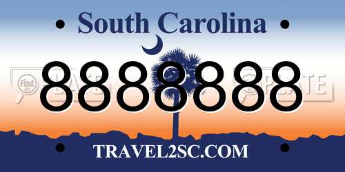 8888888 South Carolina License Plate