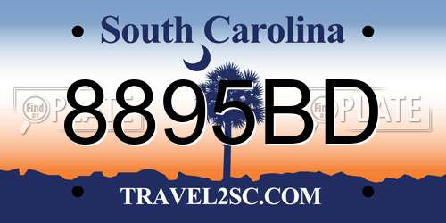8895BD South Carolina License Plate