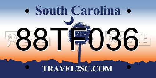 88TF036 South Carolina License Plate