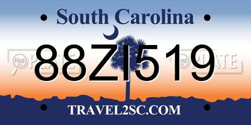 88ZI519 South Carolina License Plate