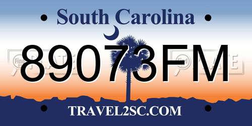 89073FM South Carolina License Plate