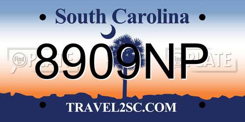 8909NP South Carolina License Plate