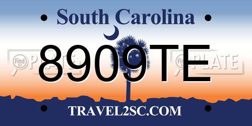 8909TE South Carolina License Plate