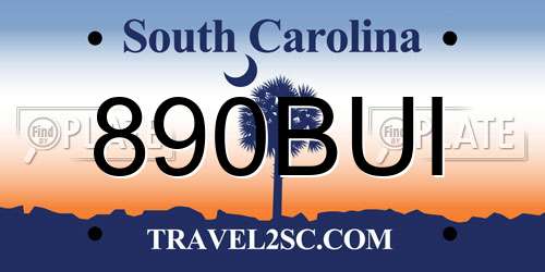 890BUI South Carolina License Plate