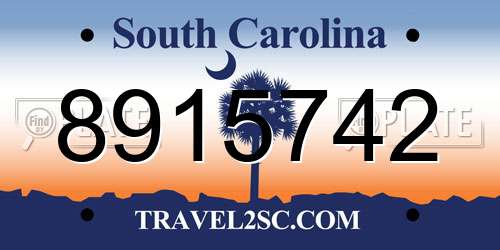 8915742 South Carolina License Plate