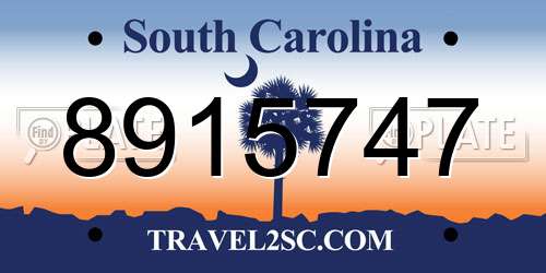 8915747 South Carolina License Plate