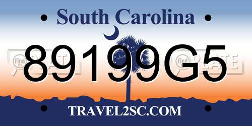 89199G5 South Carolina License Plate