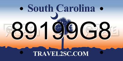 89199G8 South Carolina License Plate