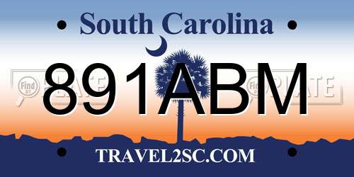 891ABM South Carolina License Plate