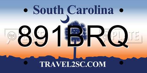 891BRQ South Carolina License Plate