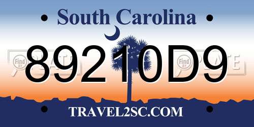 89210D9 South Carolina License Plate