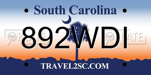 892WDI South Carolina License Plate