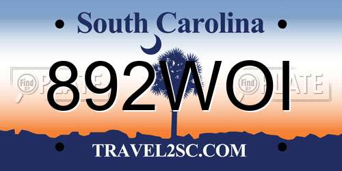892WOI South Carolina License Plate