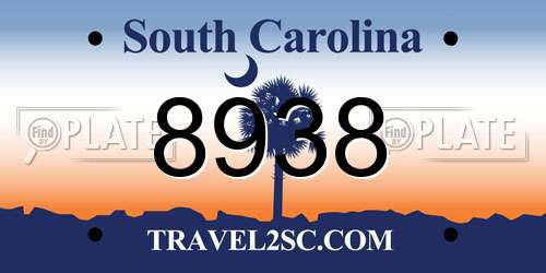 8938 South Carolina License Plate