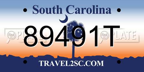 89491T South Carolina License Plate
