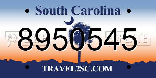 8950545 South Carolina License Plate