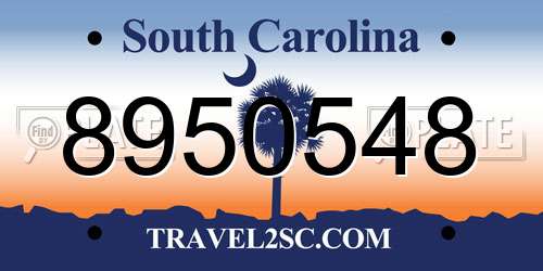 8950548 South Carolina License Plate