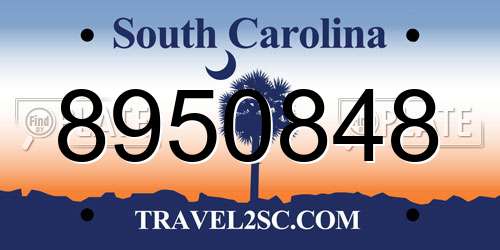 8950848 South Carolina License Plate