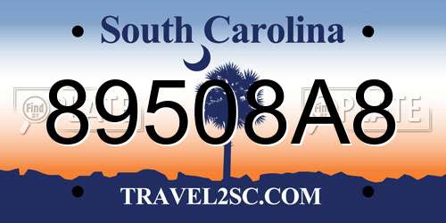 89508A8 South Carolina License Plate