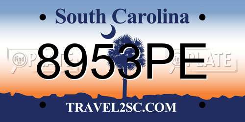 8953PE South Carolina License Plate