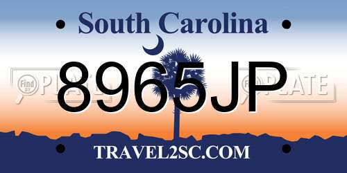 8965JP South Carolina License Plate