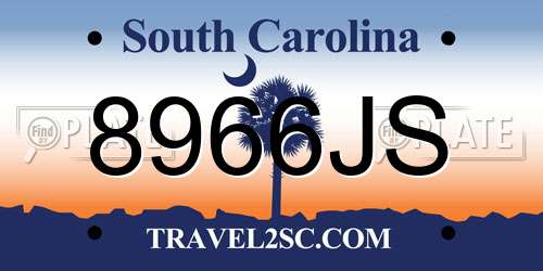 8966JS South Carolina License Plate