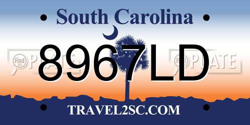 8967LD South Carolina License Plate