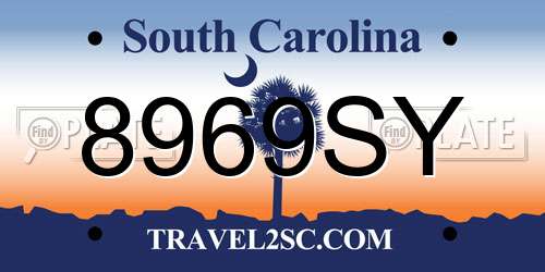 8969SY South Carolina License Plate