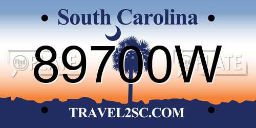 89700W South Carolina License Plate