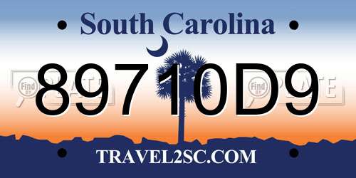 89710D9 South Carolina License Plate