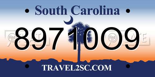 89710O9 South Carolina License Plate