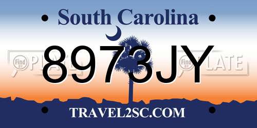 8973JY South Carolina License Plate