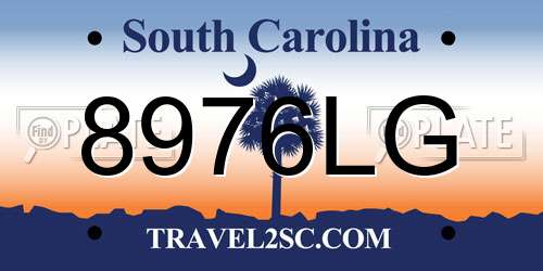 8976LG South Carolina License Plate